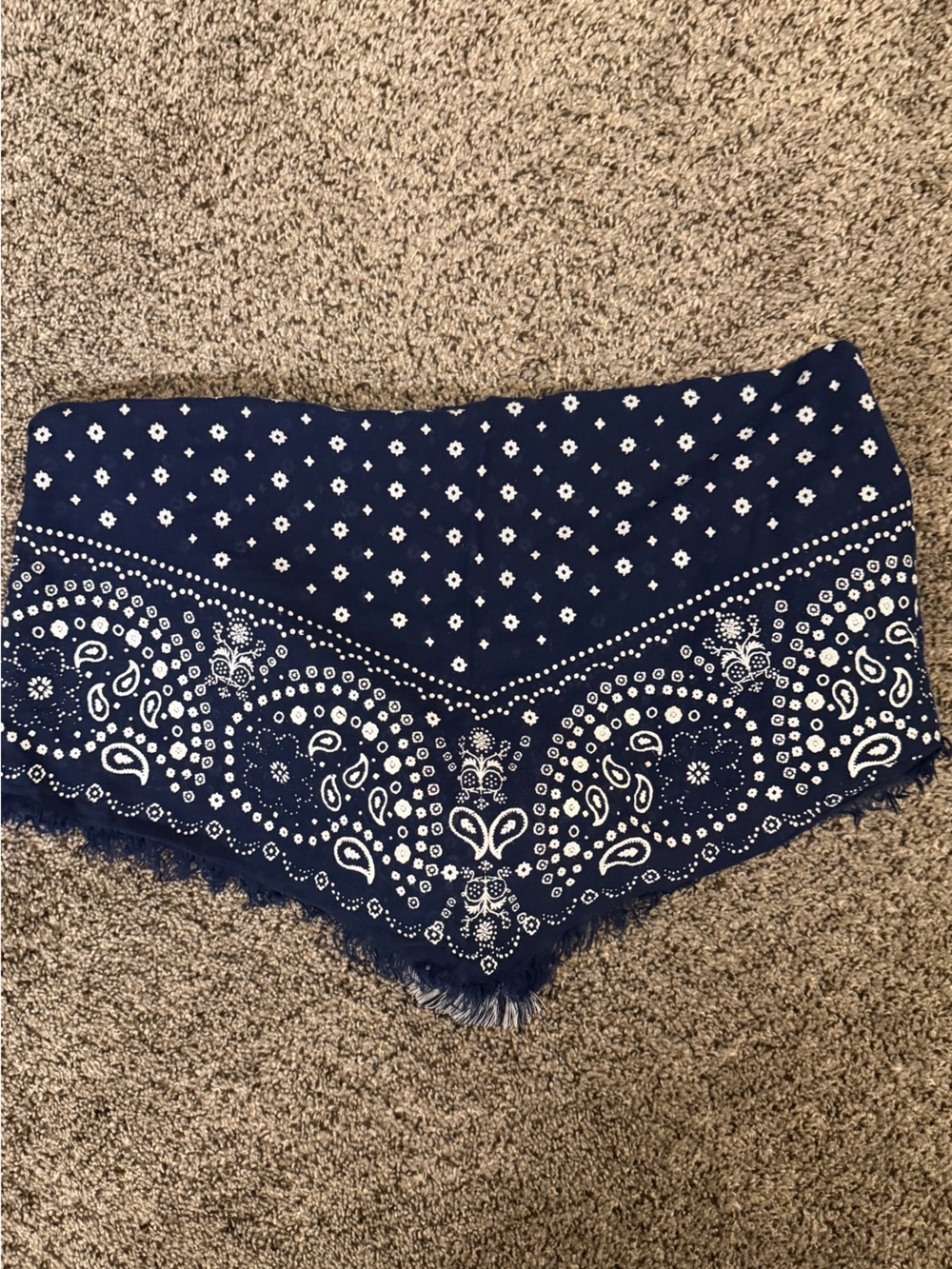 American Eagle Outfitters Navy Blue Bandana Print Crop Top